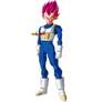 Vegeta Super Saiyan God