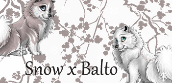 Wajas - Banners -  Snow x Balto