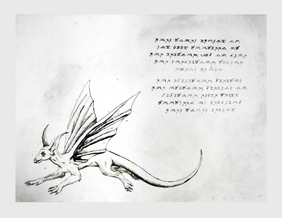 Dragon Riddle by nykol-haebrd on DeviantArt