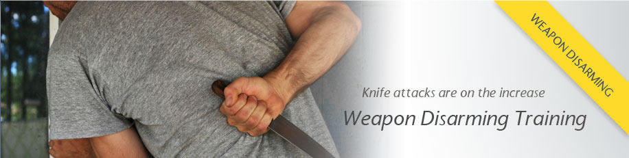 Weapon-disarming-training by basistr on DeviantArt