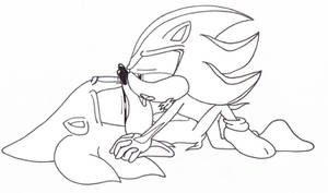 -Sonadow- o,.o