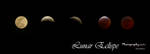 Lunar Eclipse by matthewcasha