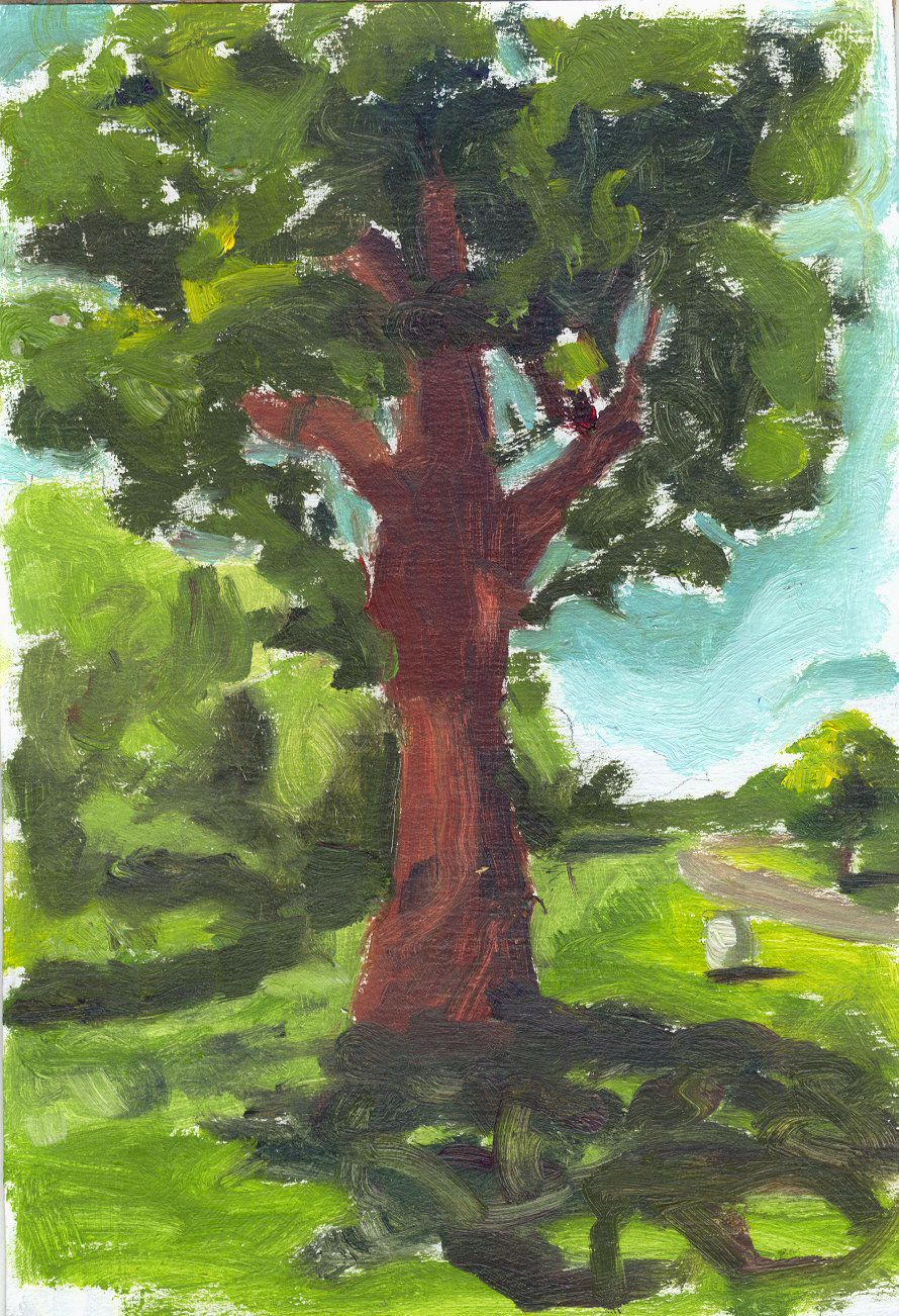 Tree in the Park