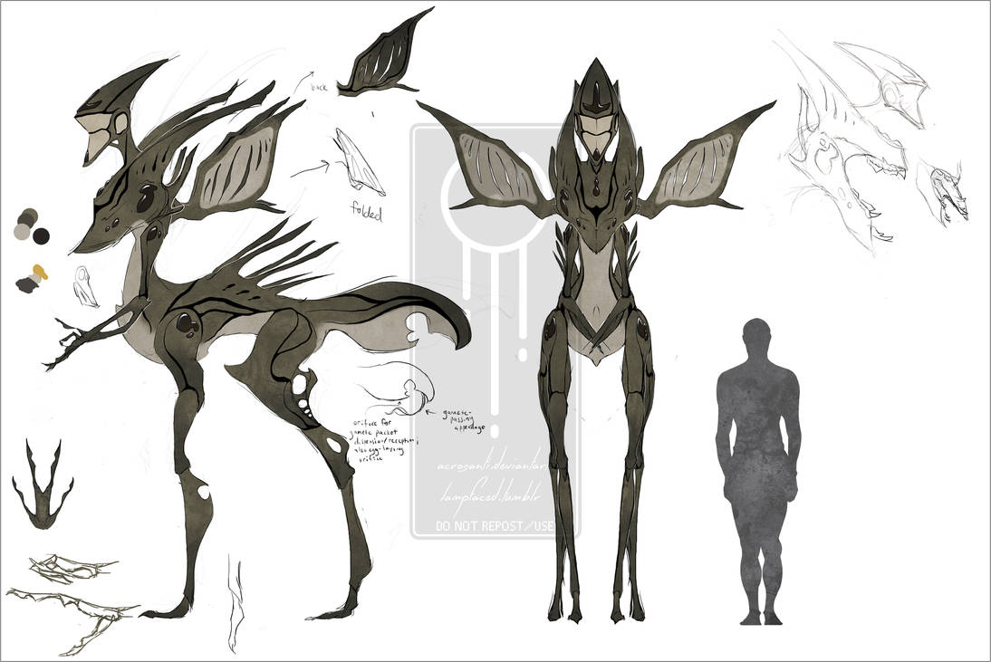 Tauric Creatures alien concept - Tauric by Acrosanti on DeviantArt