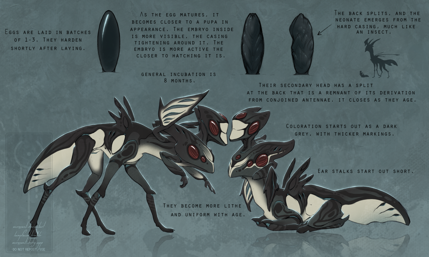 Tauric Creatures Tauric - young'ns by Acrosanti on DeviantArt