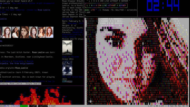 Linux Console Screenshot