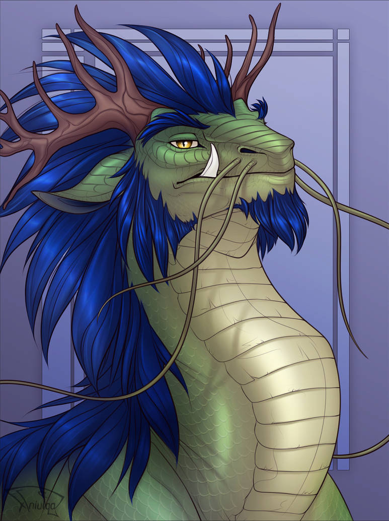 Bordon Deviantart Commission - BordoRacoon by AniutqaART on DeviantArt