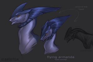 Flying armanda head concept