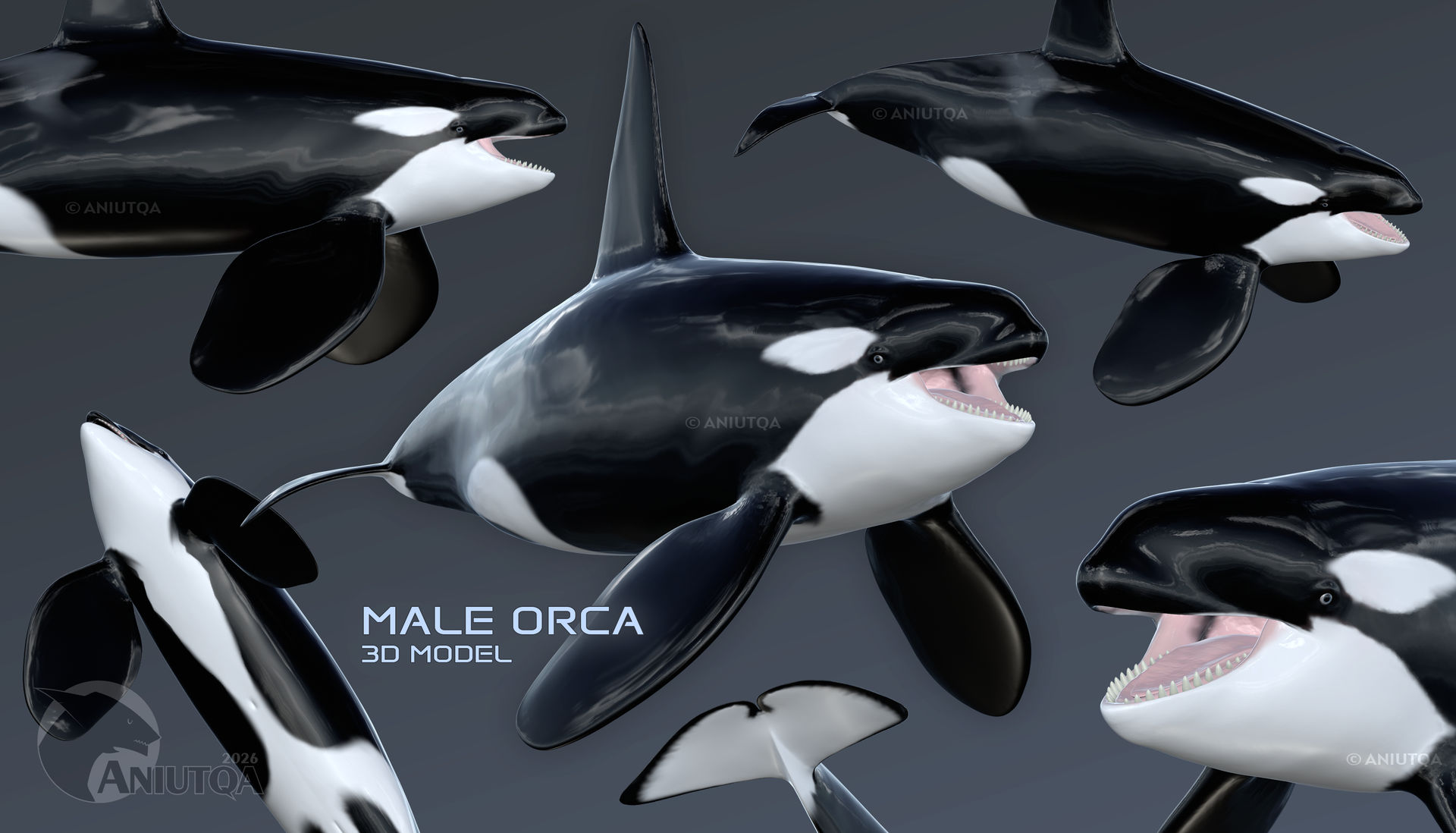 Orca Accountability Model ORCA model 2026 by AniutqaART on DeviantArt