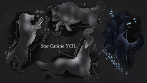 Star Canine Ych 3/4 OPEN