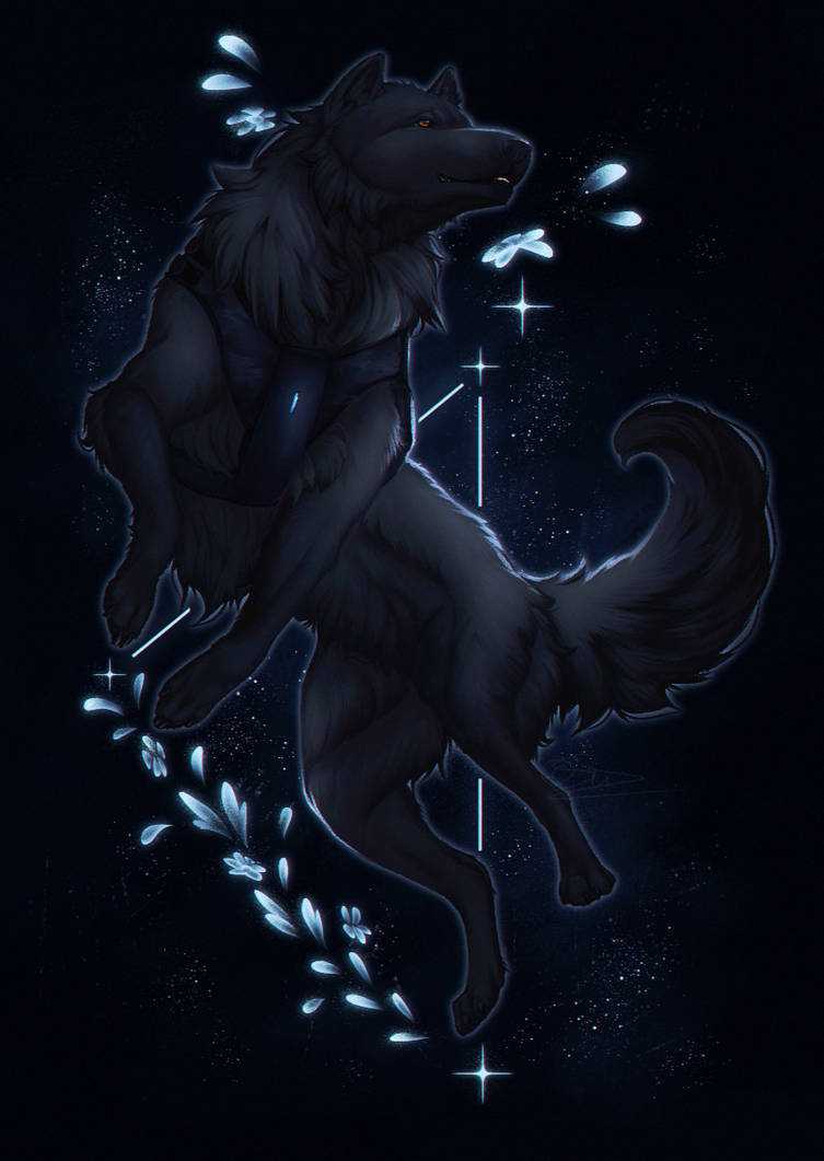 .: Star Gazer :. by FaintSuzu on DeviantArt