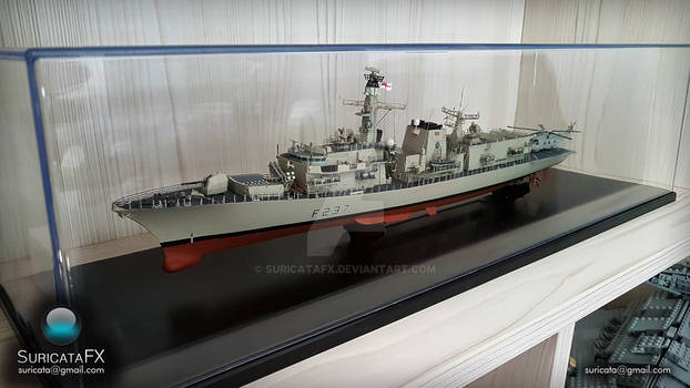 HMS Westminster 1/350 model