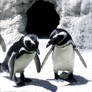 Penguin Love 2