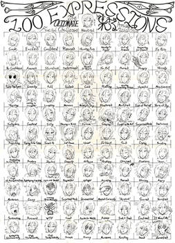 100 Expressions