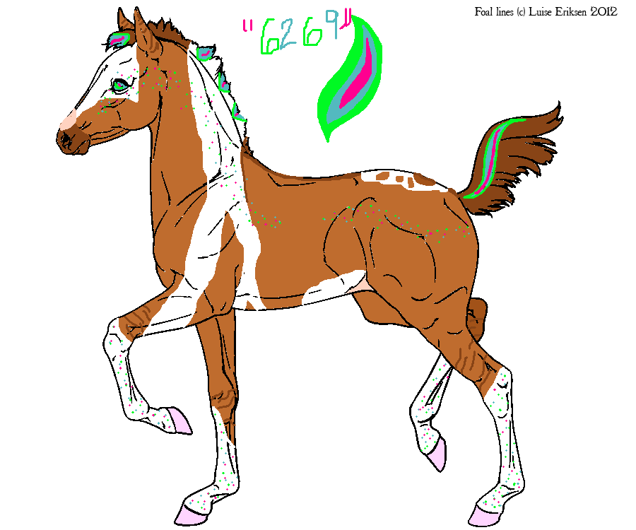 Foal Design for 6269