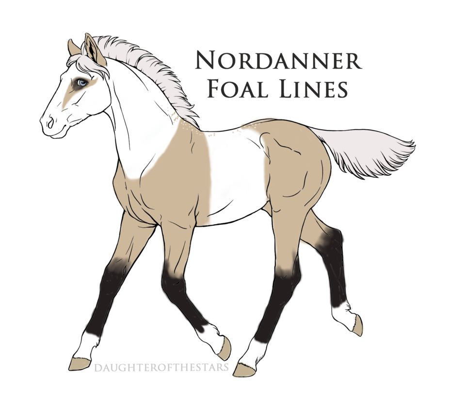 7223 Desert Orchid Foal Design RECREATION