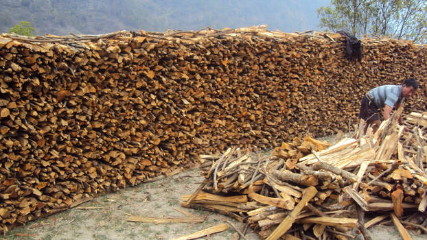 Firewood