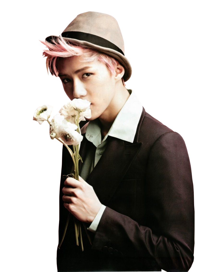 EXO Sehun Render