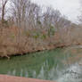 River and Trees