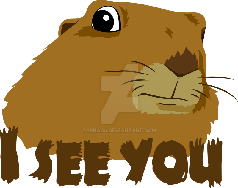 Dramatic Chipmunk by nina06 on DeviantArt