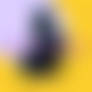Thorn the Vicious Bee