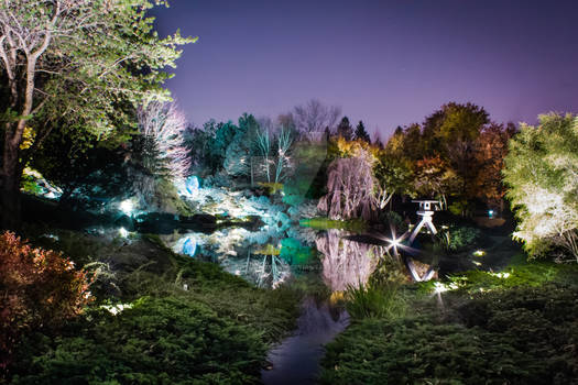Botanical Garden at Night II