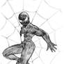 DSC Spider-Man (Black Suit)