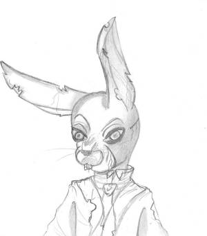 Teh Rabbit man