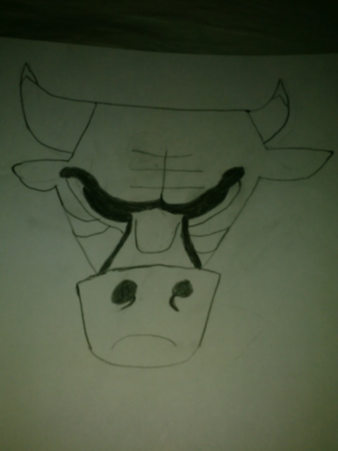 The Chicago Bull