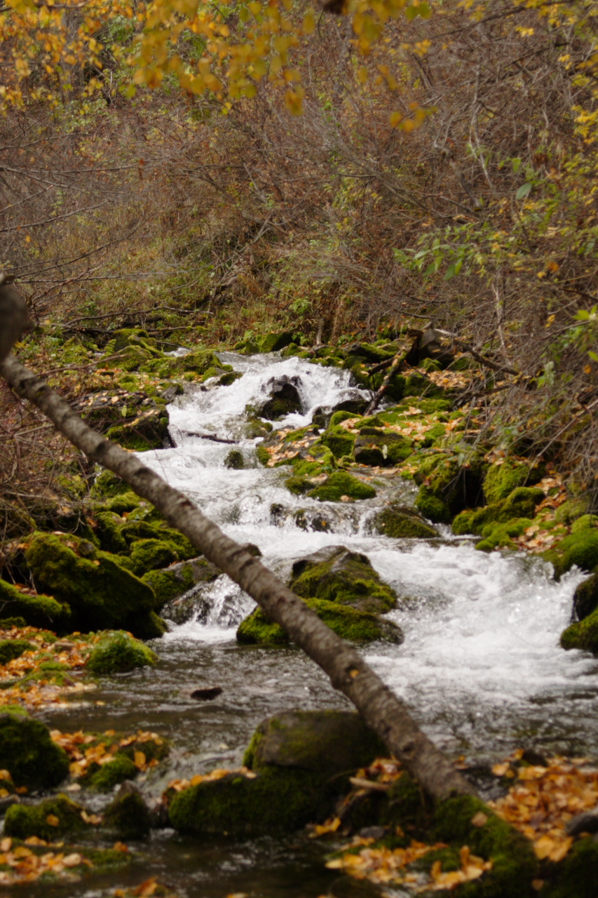 Along the Crimson Trail