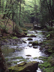 Bay of Fundy - Trails