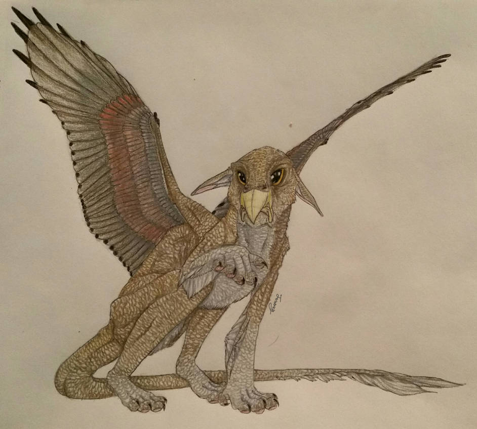 Griffin by TakkelSomeArt on DeviantArt