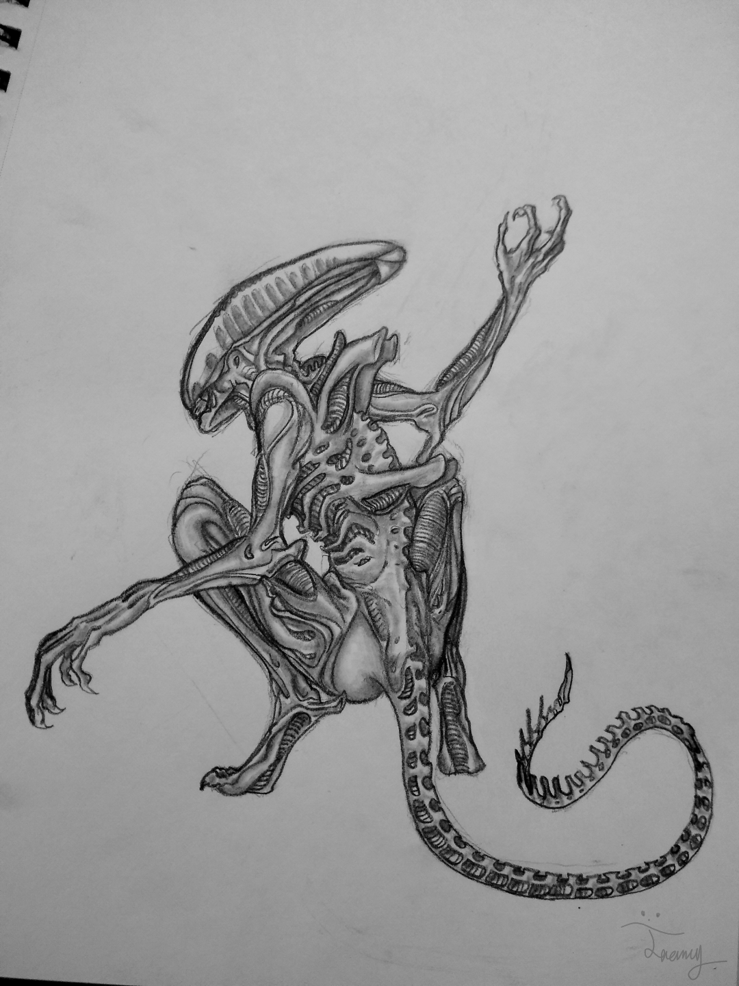 xenomorph sketches#2 by TakkelSomeArt on DeviantArt