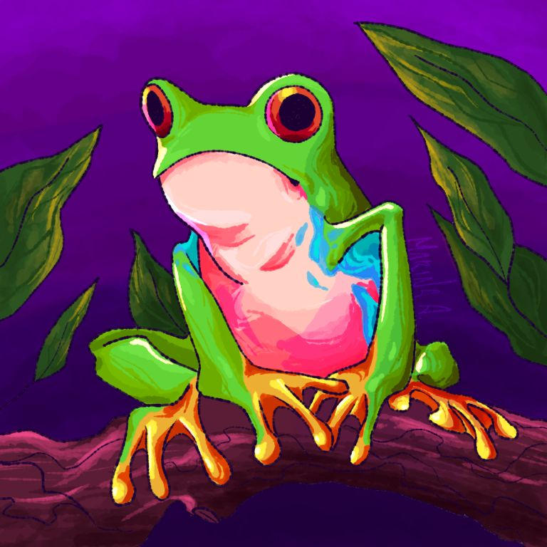 Turtle Frog Deviantart FROG by MaryNoddles on DeviantArt