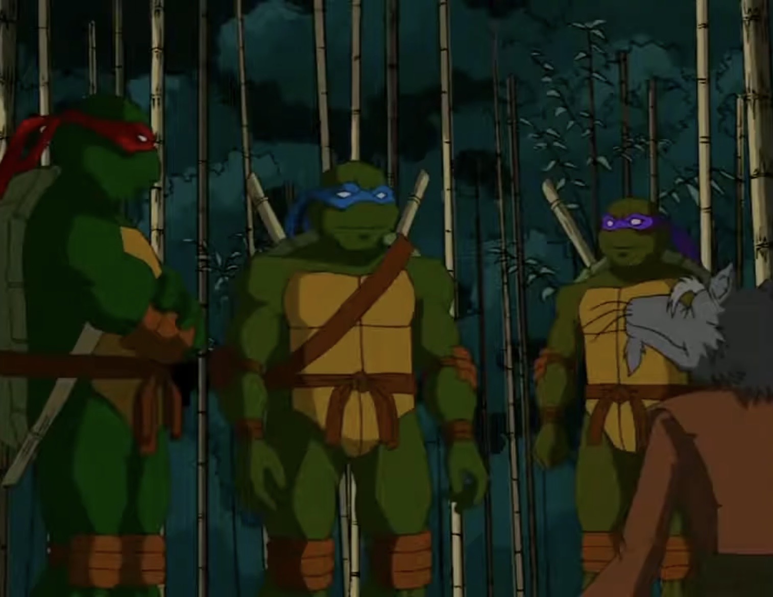 TMNT 2003 Splinter, Donnie, Leo and Raph 2 by hedwieapotter on DeviantArt