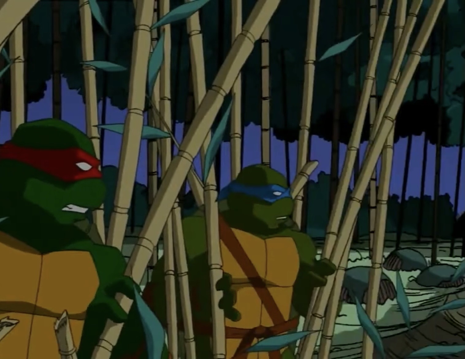 Leo Vs Raph TMNT 2003 Raph and Leo by hedwieapotter on DeviantArt