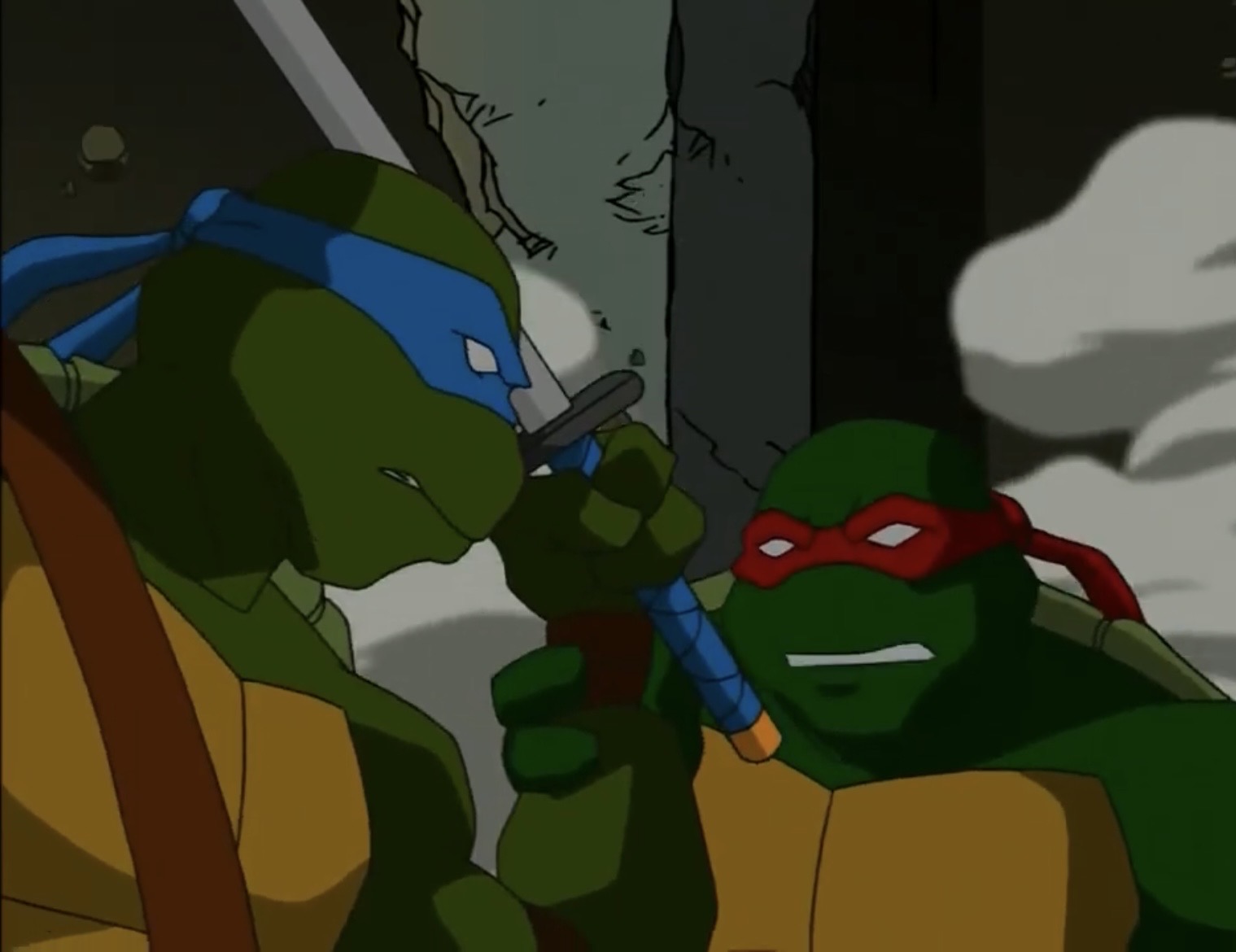 Leo Vs Raph TMNT 2003 Leo and Raph by hedwieapotter on DeviantArt