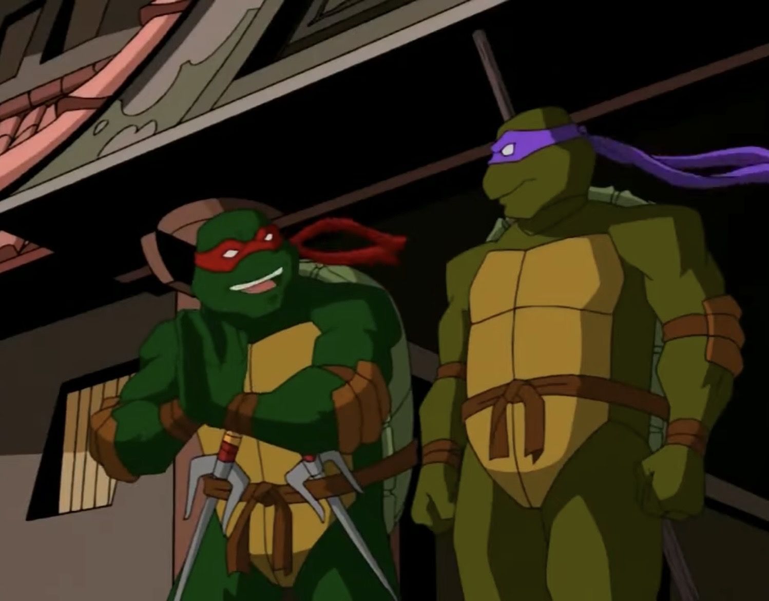 Mostt Diff Raph's TMNT 2003 Raph and Donnie by hedwieapotter on DeviantArt