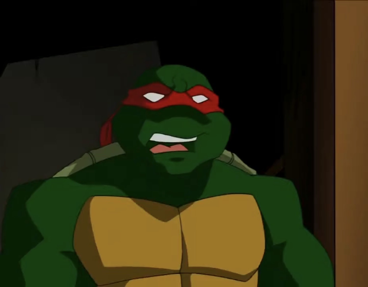 Tmnt Raph Buff TMNT 2003 Raph 2 by hedwieapotter on DeviantArt