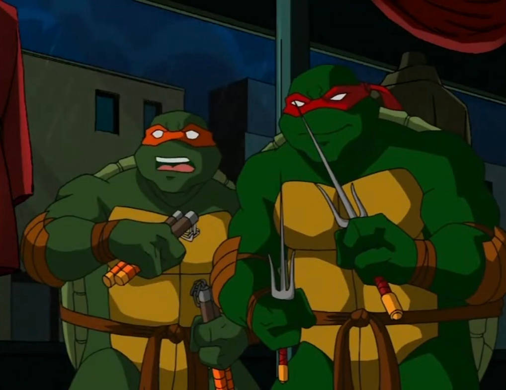Tmnt 2003 Raph TMNT 2003 Raph and Mikey 2 by hedwieapotter on DeviantArt