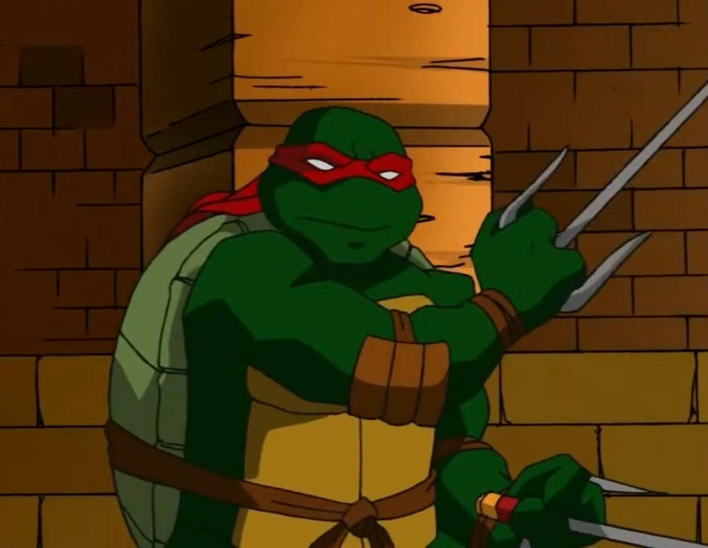 Tmnt 2003 Raph TMNT 2003 Raph by hedwieapotter on DeviantArt