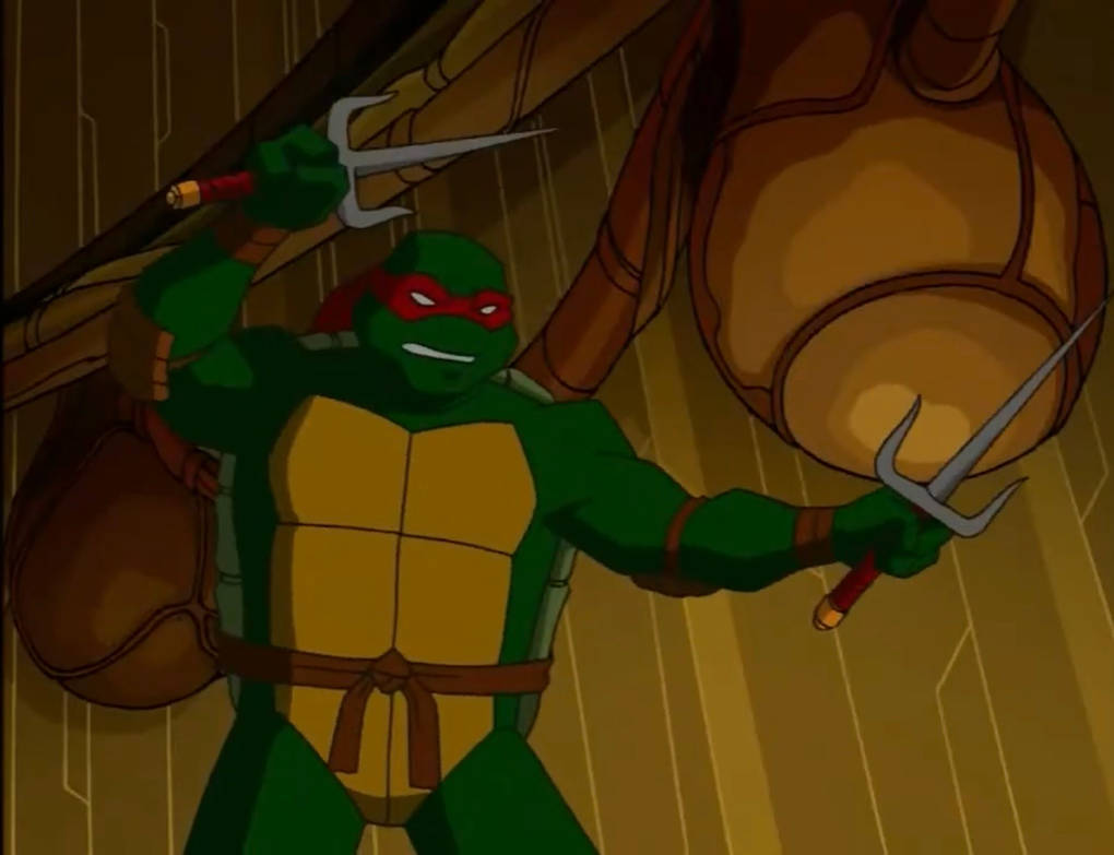 Tmnt 2003 Raph TMNT 2003 Raph by hedwieapotter on DeviantArt