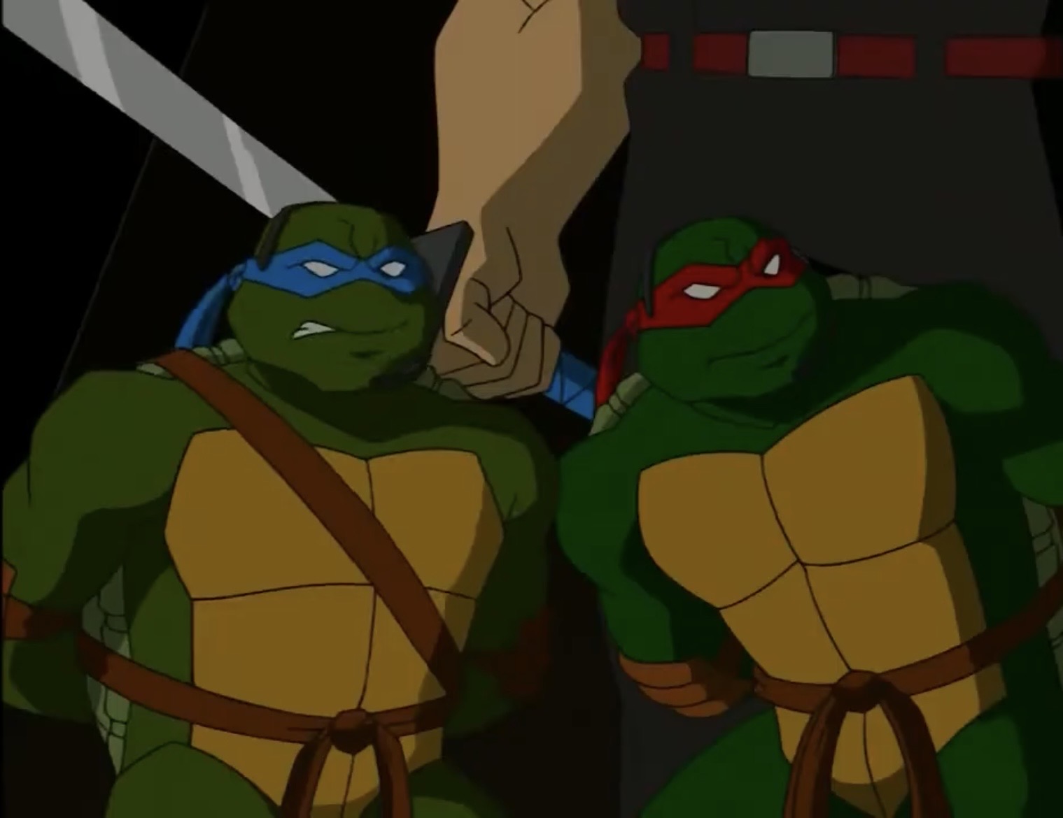 Leo X Raph Rise TMNT 2003 Leo and Raph by hedwieapotter on DeviantArt