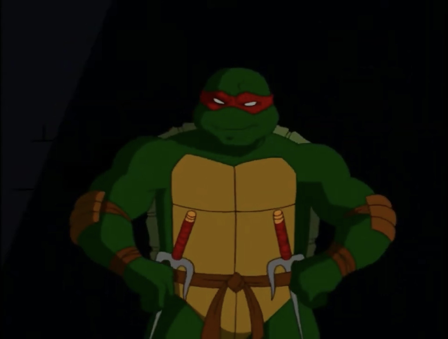 Captain Raph TMNT 2003 Raph by hedwieapotter on DeviantArt