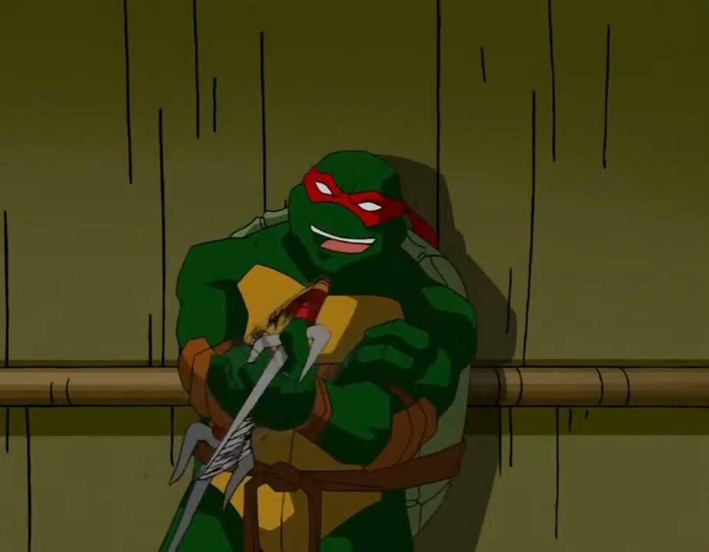 Too Raph TMNT 2003 Raph 2 by hedwieapotter on DeviantArt