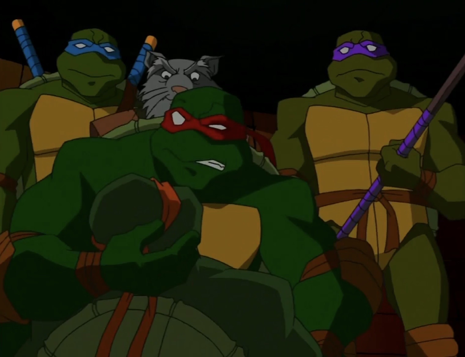 TMNT 2003 The Turtles And Splinter 2 By Hedwieapotter On DeviantArt tmnt-2003-the-turtles-and-splinter-2-by-hedwieapotter-on-deviantart