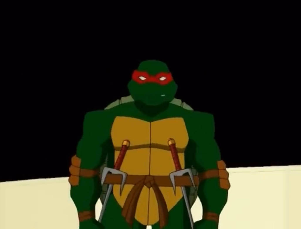 TMNT 2003 Raph by hedwieapotter on DeviantArt