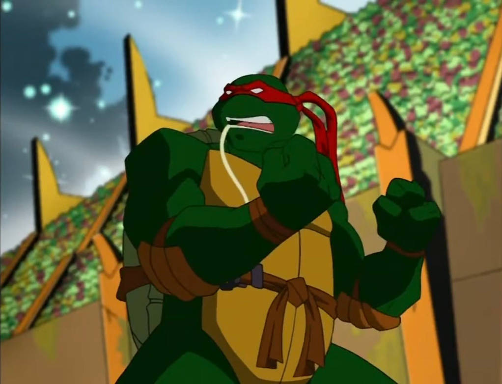 Tmnt 2003 Raph TMNT 2003 Raph 2 by hedwieapotter on DeviantArt