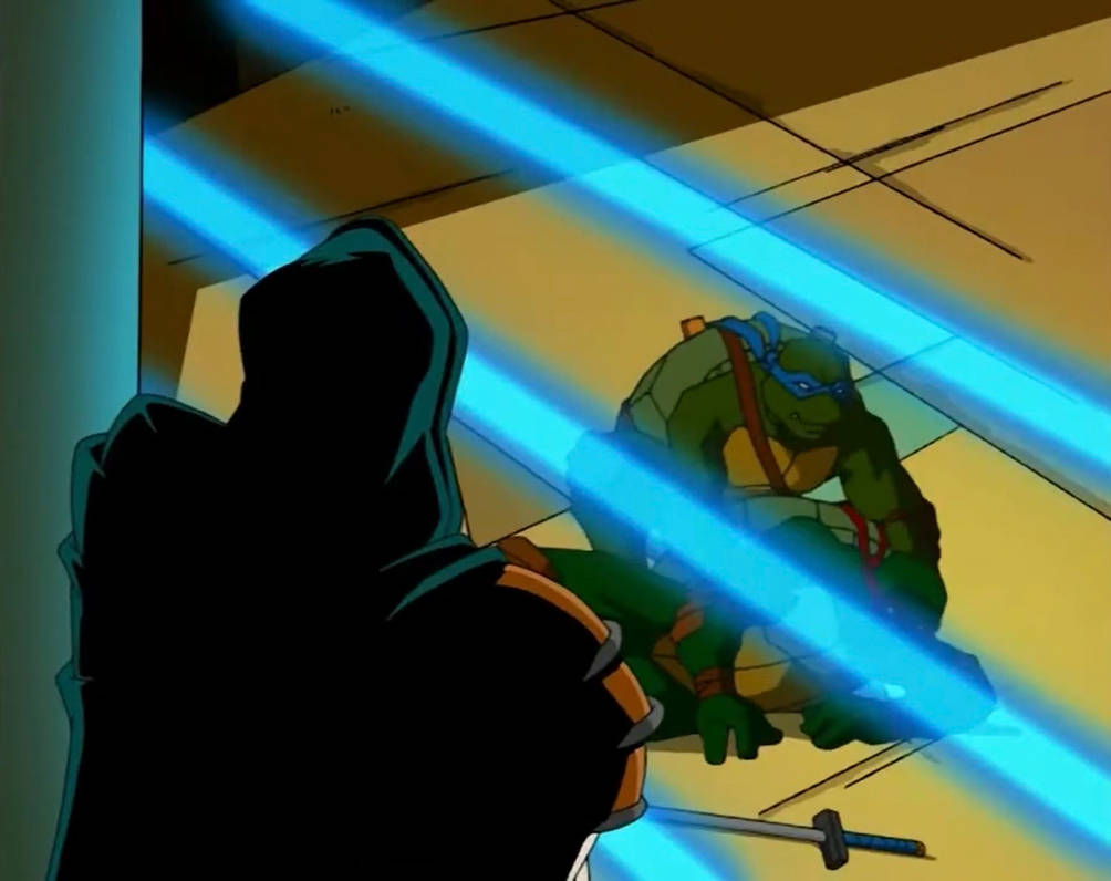 TMNT 2003 Leo and Raph by hedwieapotter on DeviantArt