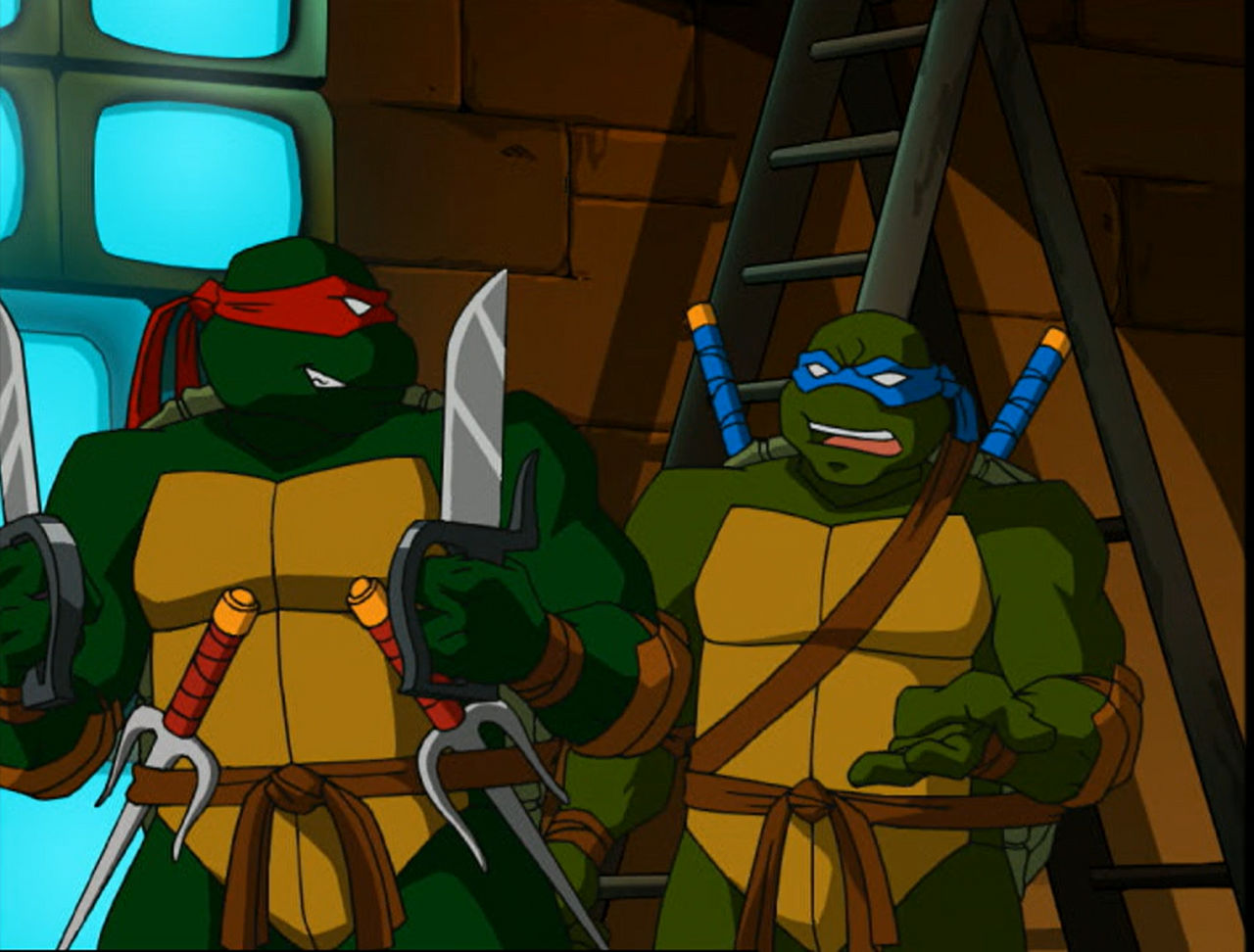 Leo Vs Raph TMNT 2003 Leo and Raph 2 by hedwieapotter on DeviantArt